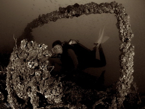 Frame within a frame
Picture was taken with Macro-Widean... by Iyad Suleyman 
